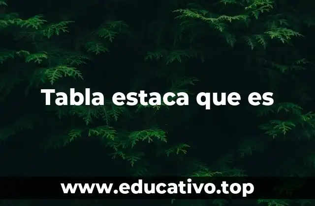 Aplicaciones de las tablas estaca en el entorno cotidiano