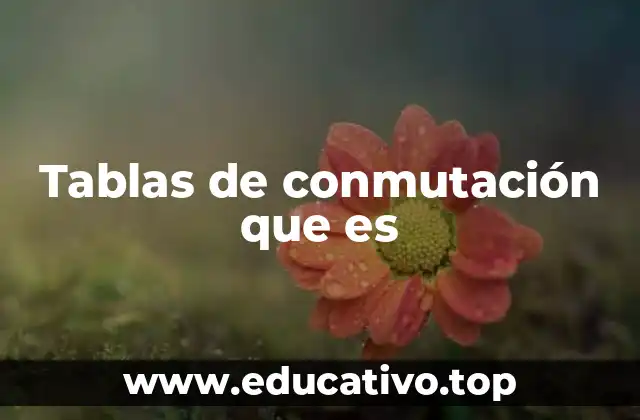 Tablas de conmutación que es
