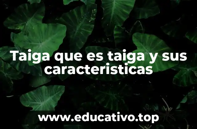 Taiga que es taiga y sus caracteristicas