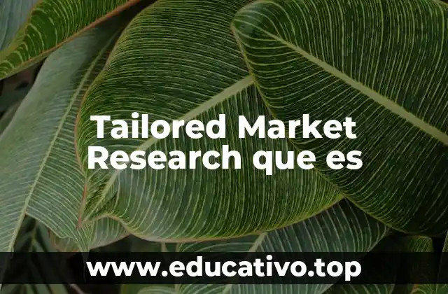 Tailored Market Research que es