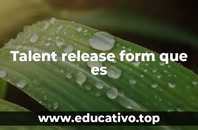 Talent release form que es