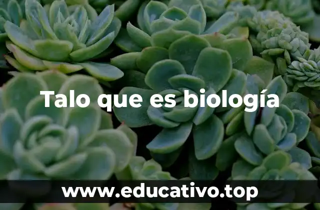 Talo que es biología