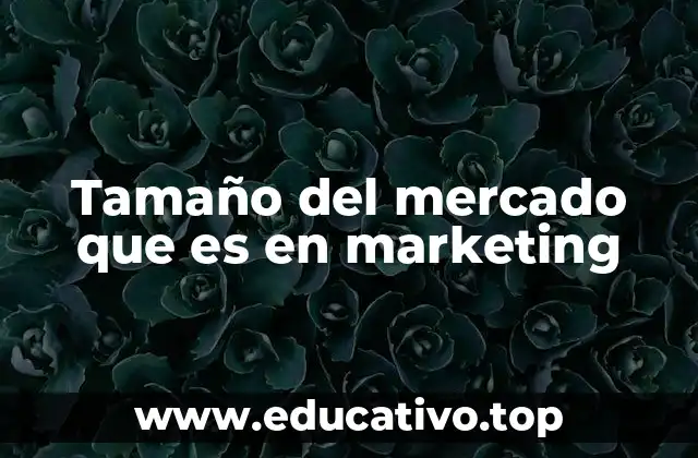 Tamaño del mercado que es en marketing