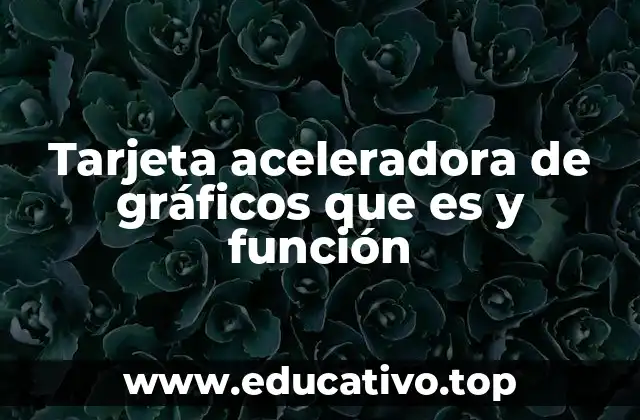 Tarjeta aceleradora de gráficos que es y función