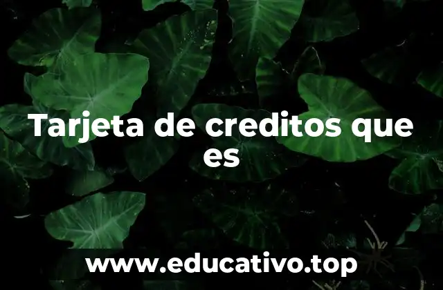 Tarjeta de creditos que es