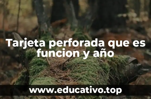 Tarjeta perforada que es funcion y año