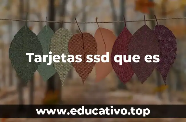 Tarjetas ssd que es