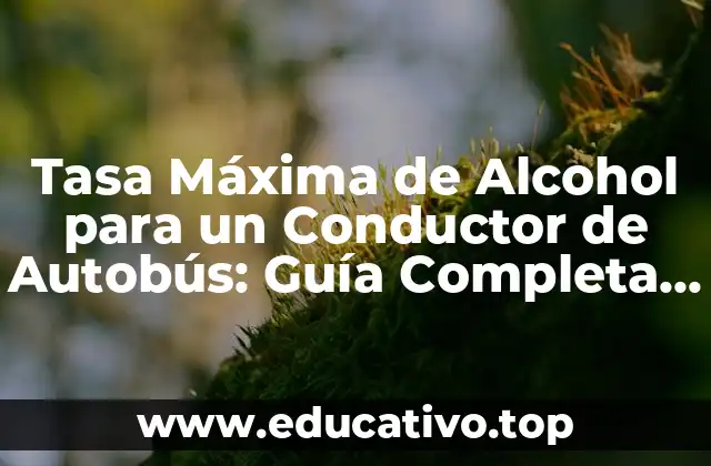 Tasa Máxima de Alcohol para un Conductor de Autobús: Guía Completa y Actualizada