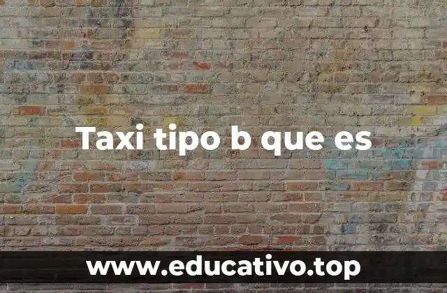 Taxi tipo b que es