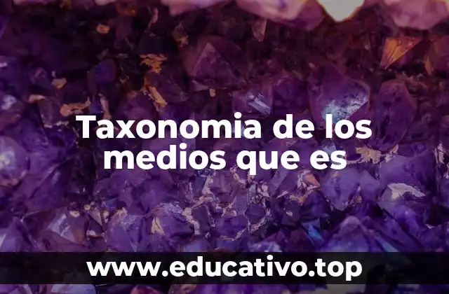 Taxonomia de los medios que es