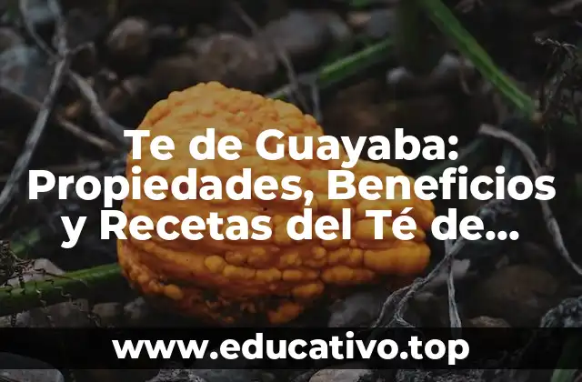 Te de Guayaba: Propiedades, Beneficios y Recetas del Té de Guayaba
