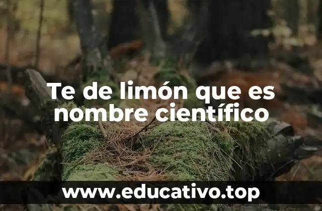 Te de limón que es nombre científico