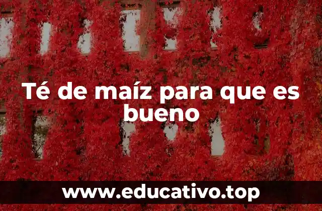 Té de maíz para que es bueno