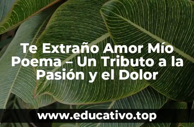 Te Extraño Amor Mío Poema – Un Tributo a la Pasión y el Dolor