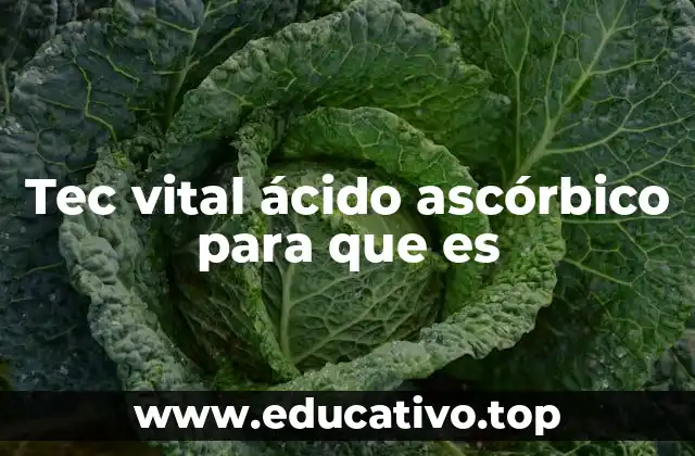 Tec vital ácido ascórbico para que es