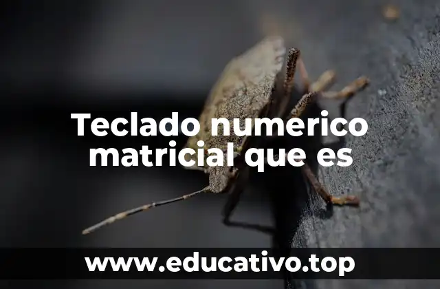 Teclado numerico matricial que es