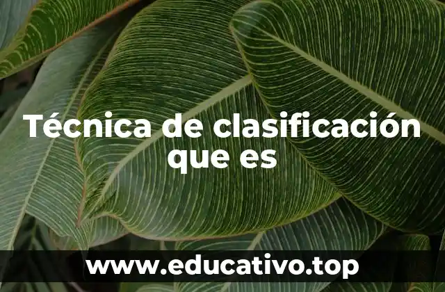 Aplicaciones de las técnicas de clasificación en diferentes campos