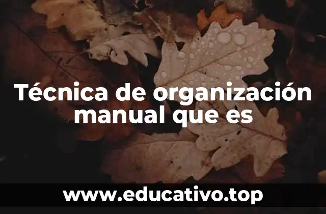 Técnica de organización manual que es