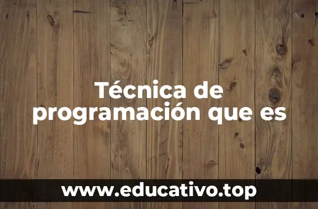 Técnica de programación que es