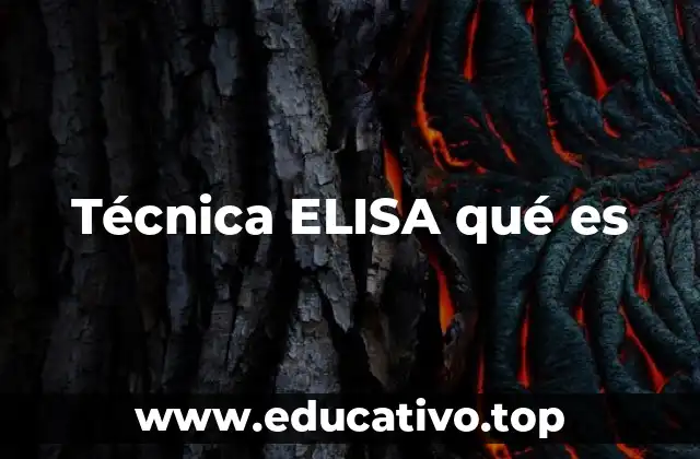 Técnica ELISA qué es