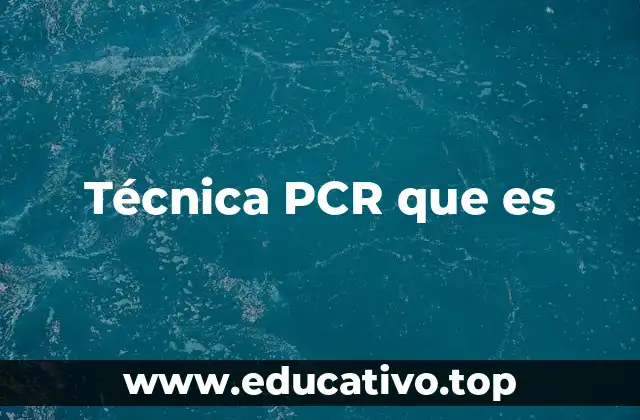 Técnica PCR que es