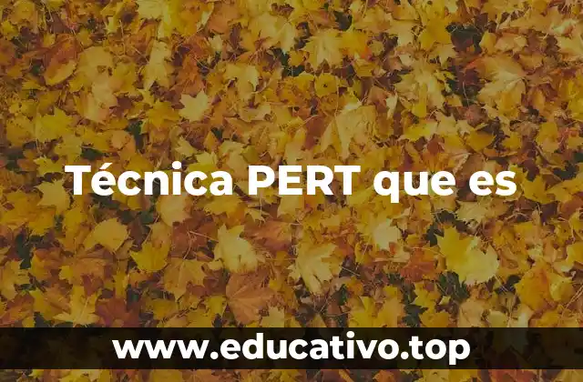 Técnica PERT que es