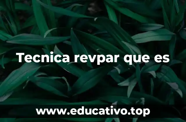 Tecnica revpar que es