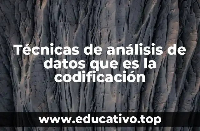 Técnicas de análisis de datos que es la codificación