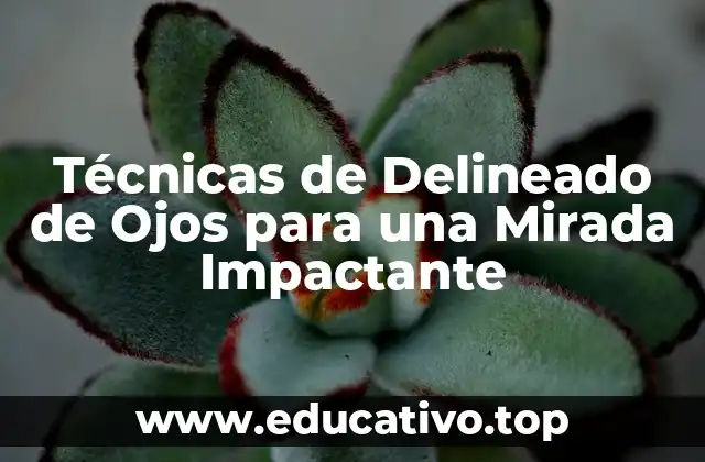 Técnicas de Delineado de Ojos para una Mirada Impactante