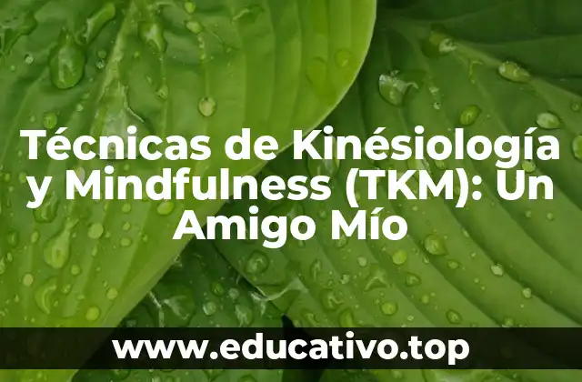 Técnicas de Kinésiología y Mindfulness (TKM): Un Amigo Mío