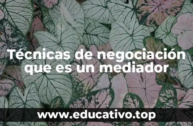 Técnicas de negociación que es un mediador