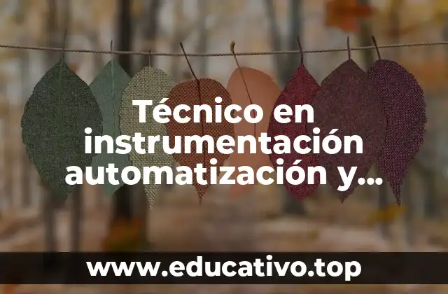 Técnico en instrumentación automatización y control industrial que es