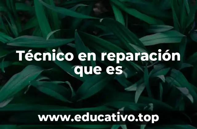 Técnico en reparación que es
