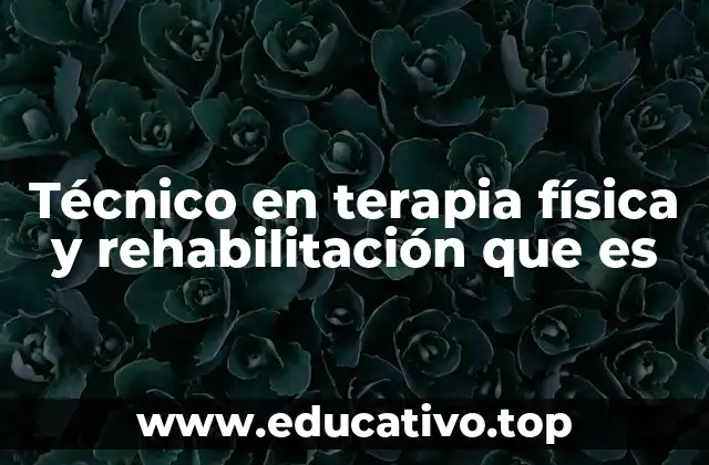 Técnico en terapia física y rehabilitación que es