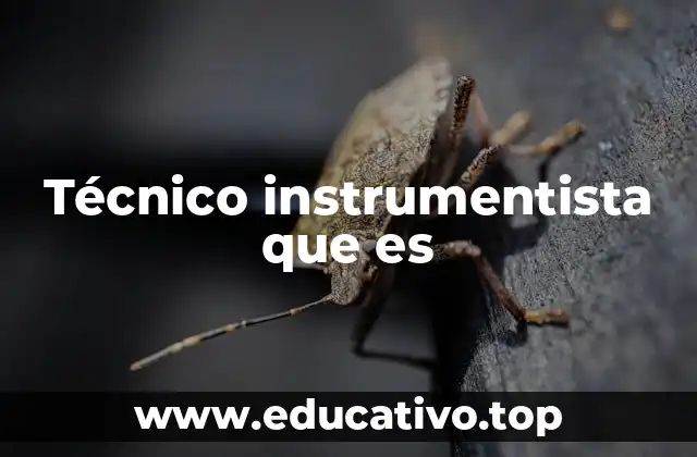 Técnico instrumentista que es
