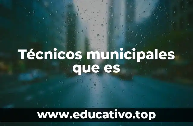 Técnicos municipales que es