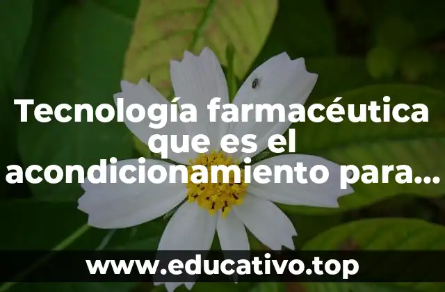 Tecnología farmacéutica que es el acondicionamiento para los fármacos
