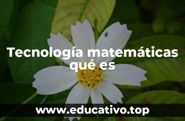 Tecnología matemáticas qué es