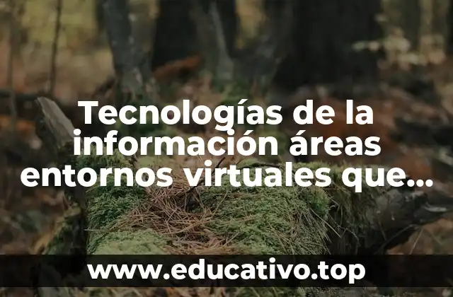 Tecnologías de la información áreas entornos virtuales que es