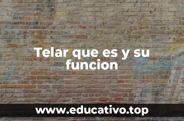 Telar que es y su funcion