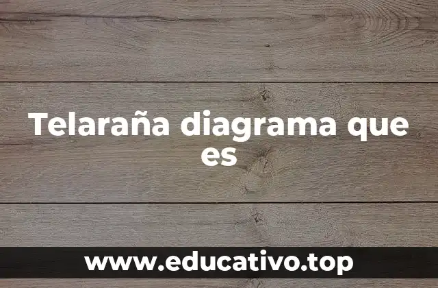 Telaraña diagrama que es