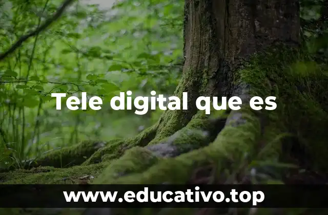 Tele digital que es