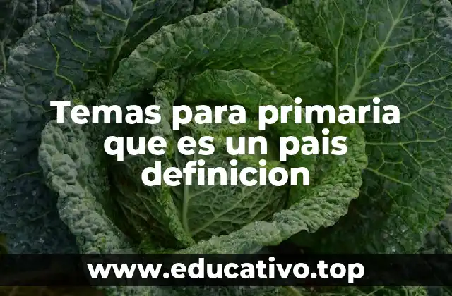 Cómo se enseña el concepto de país en la educación primaria