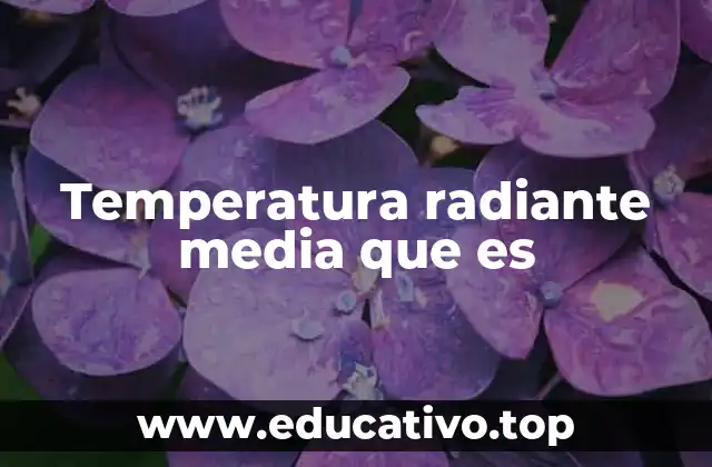 La importancia de considerar superficies en el confort térmico