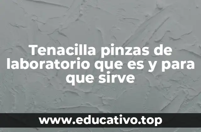 Tenacilla pinzas de laboratorio que es y para que sirve