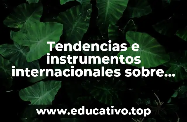 Tendencias e instrumentos internacionales sobre seguridad publica que es