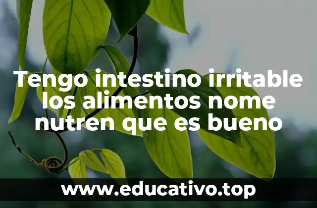 Tengo intestino irritable los alimentos nome nutren que es bueno