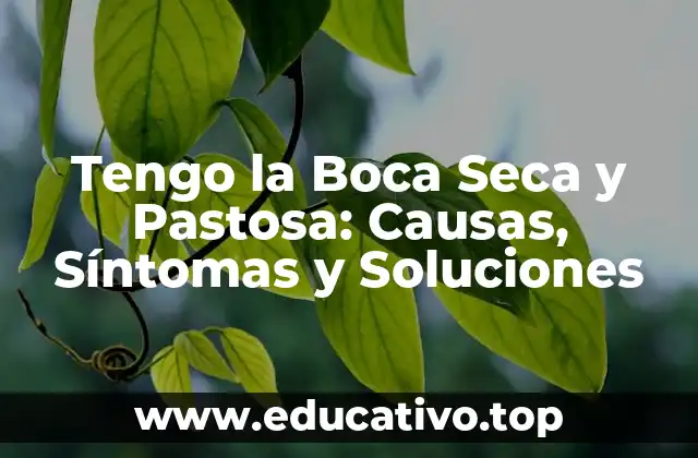 Tengo la Boca Seca y Pastosa: Causas, Síntomas y Soluciones