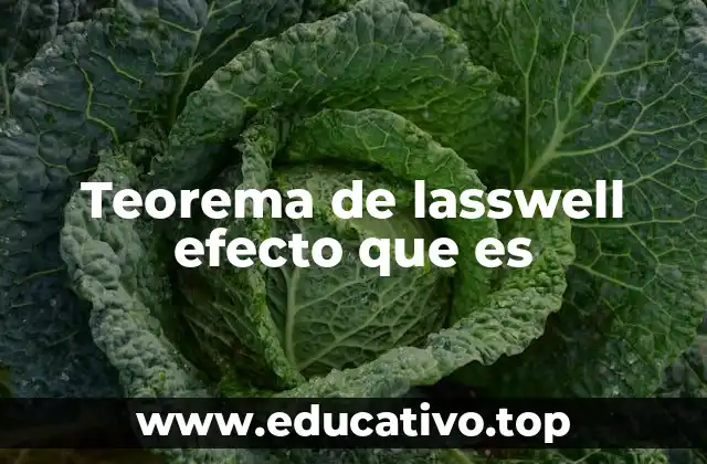 Teorema de lasswell efecto que es