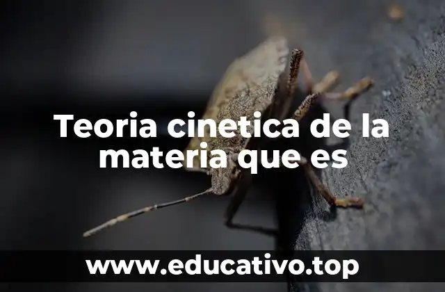 Teoria cinetica de la materia que es